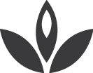 Shashime Designs Logo